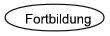 Fortbildung
